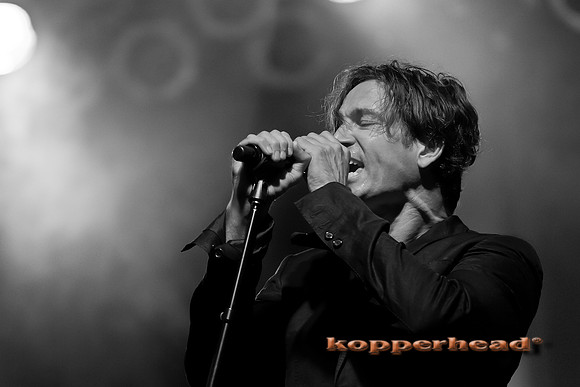 32364 07 2011 Kopperhead-2