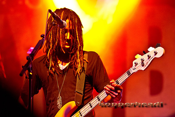 33256 07 2011 Kopperhead