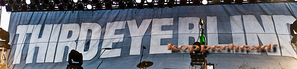 42857p 04 2012 Kopperhead