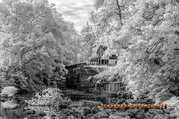 69482ir 06 2016 Kopperhead