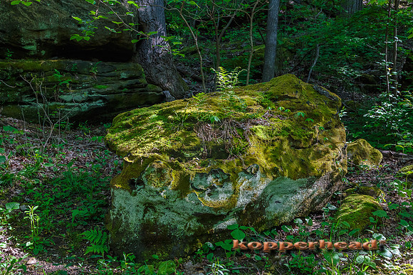 51680 05 2016 Kopperhead