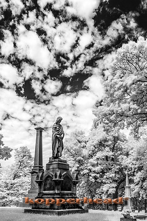 69496ir 06 2016 Kopperhead