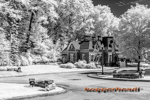 69491ir 06 2016 Kopperhead