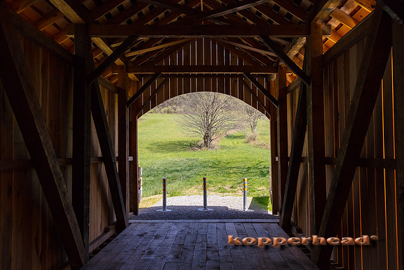 05292 04 2017 Kopperhead