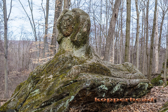 04837 04 2017 Kopperhead