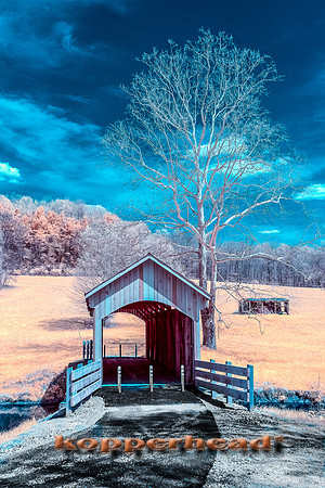 70021ir 04 2017 Kopperhead