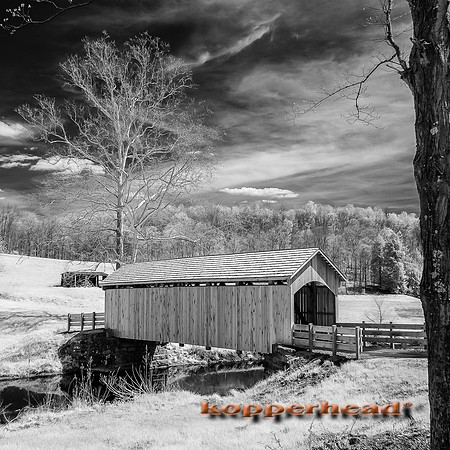 70019ir 04 2017 Kopperhead