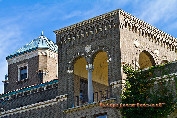 36475 08 2011 Kopperhead