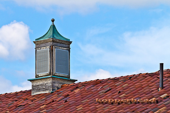 36523 08 2011 Kopperhead