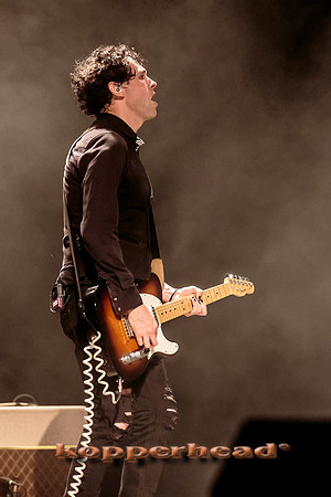 47146 12 2015 Kopperhead