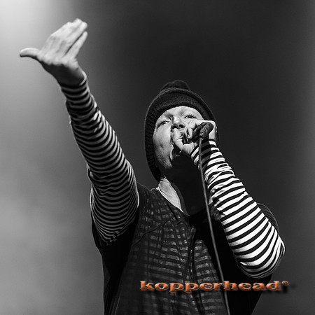 46621 12 2015 Kopperhead
