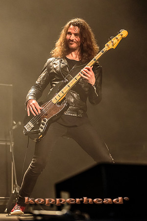 47140 12 2015 Kopperhead