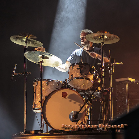 46084 12 2015 Kopperhead