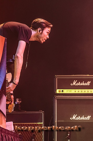 47302 12 2015 Kopperhead