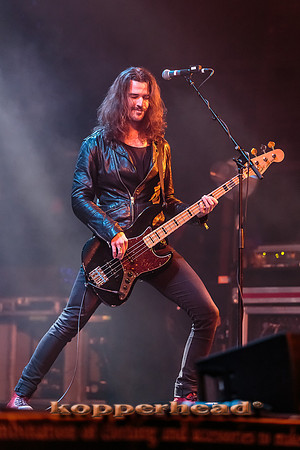 46200 12 2015 Kopperhead