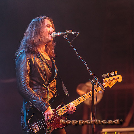 46236 12 2015 Kopperhead