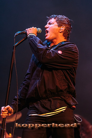 46255 12 2015 Kopperhead