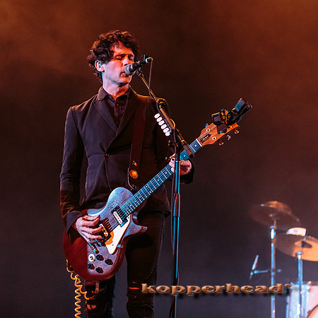 46163 12 2015 Kopperhead