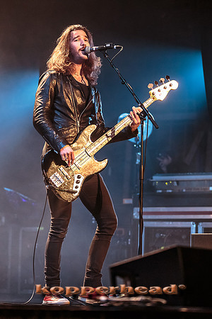 46153 12 2015 Kopperhead
