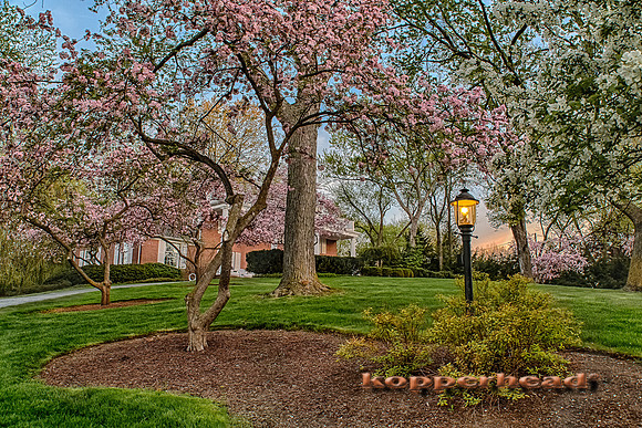 01859h 05 2013 Kopperhead