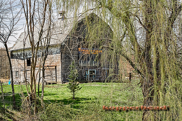00622h 04 2013 Kopperhead