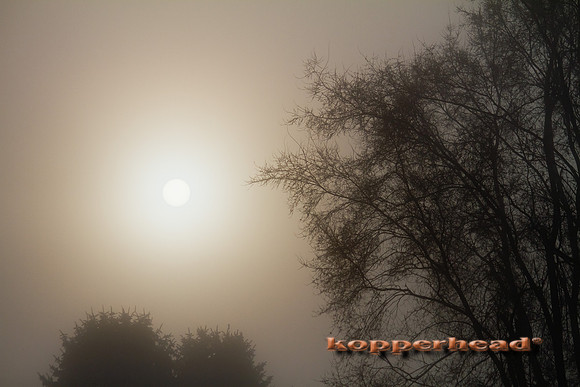 41762 03 2012 Kopperhead