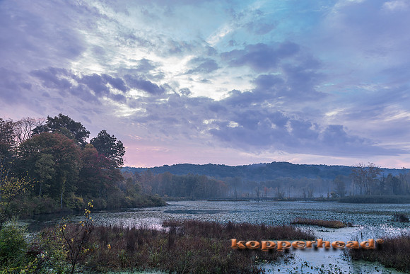 12073 10 2013 Kopperhead