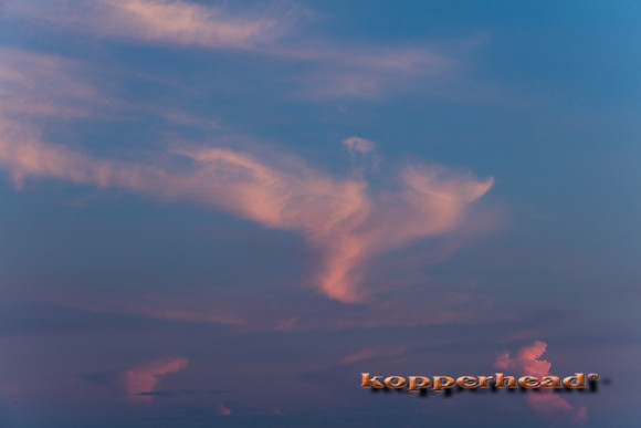 29504 08 2018 Kopperhead