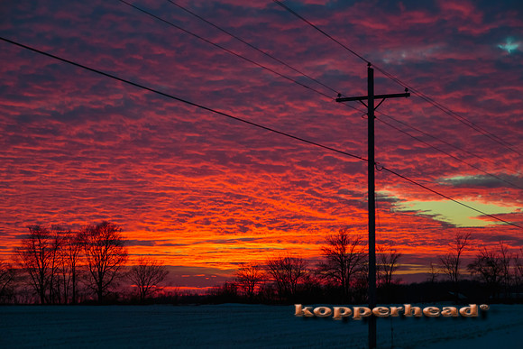 16024 01 2014 Kopperhead
