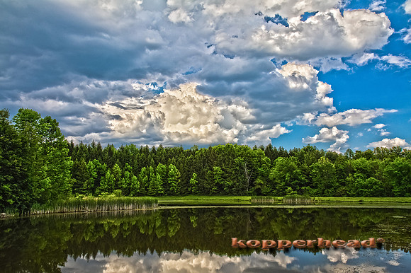 46348h 05 2012 Kopperhead