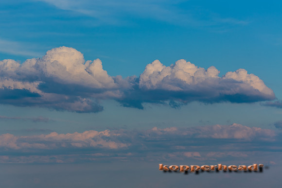 09422 08 2013 Kopperhead