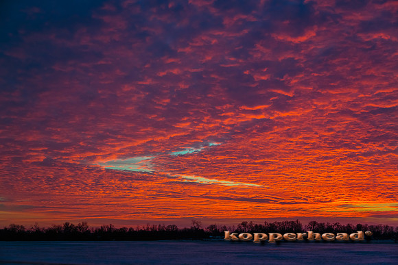 16023 01 2014 Kopperhead