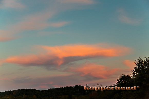 26353 09 2014 Kopperhead