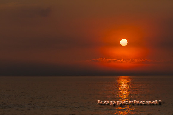29130 08 2018 Kopperhead