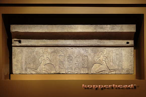 49206 03 2016 Kopperhead