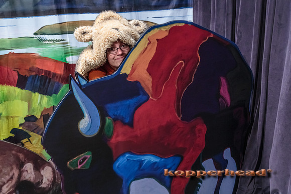 37937 06 2015 Kopperhead