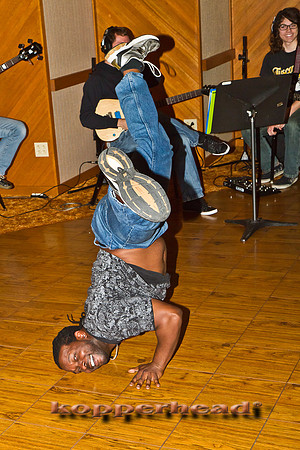 39762 11 2011 Kopperhead