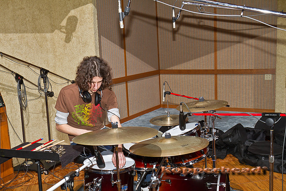 40593 01 2012 Kopperhead