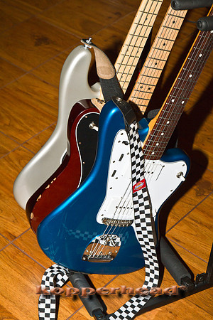 40601 01 2012 Kopperhead