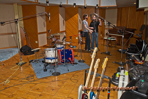 40598 01 2012 Kopperhead
