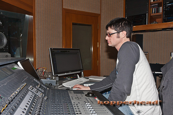 48390 01 2012 Kopperhead