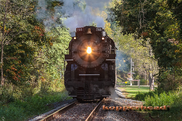 68383 10 2015 Kopperhead