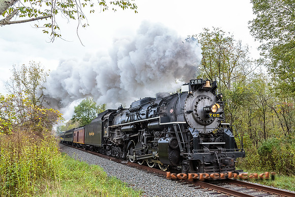 41913 10 2015 Kopperhead