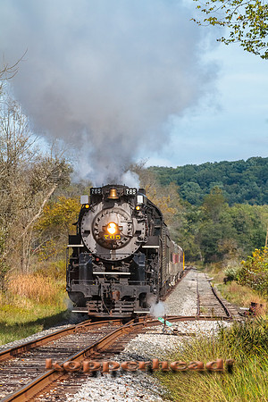 68397 10 2015 Kopperhead