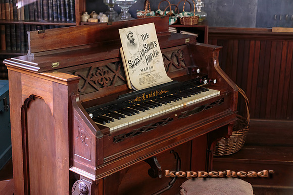 39122 07 2015 Kopperhead
