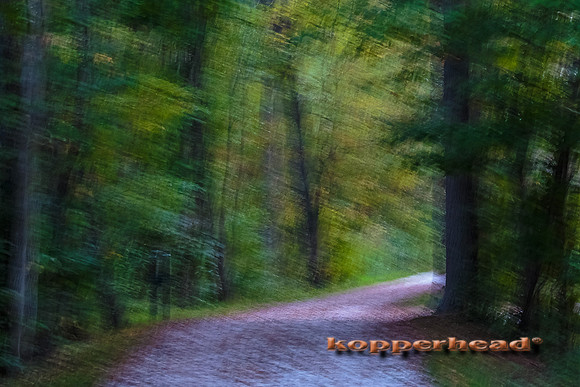 41104 09 2015 Kopperhead