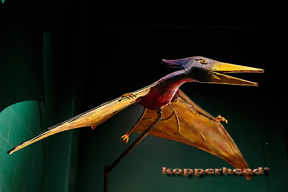 30826 03 2015 Kopperhead