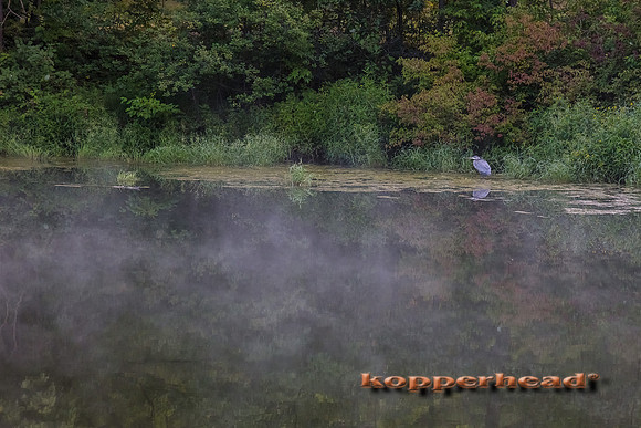 10481 09 2017 Kopperhead