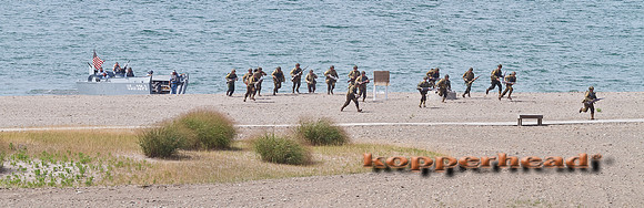 35790 08 2011 Kopperhead
