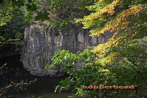 08777x 09 2008 Kopperhead